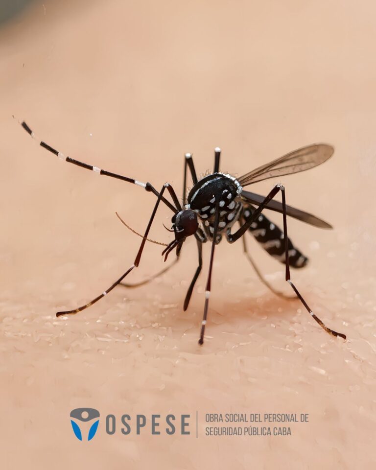 Prevención del dengue